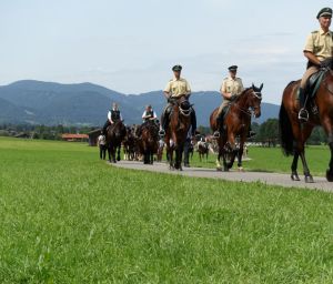 mt_gallery:Rosstag Rottach-Egern 2017